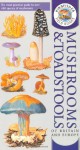 Field Guide To The Mushrooms & Toadstools Of Britain And Europe - David N. Pegler