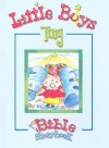 Little Boys Tiny Bible Storybook - Carolyn Larsen