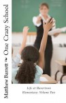 One Crazy School: Life at Havertown Elementary: Volume Two - Matthew Barrett