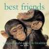 Best Friends: Witty Meaningful Quotes On Friendship - Tom Burns