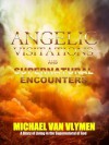 Angelic Visitations and Supernatural Encounters: A Diary of Living in the Supernatural of God - Michael Van Vlymen