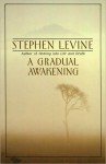 A Gradual Awakening - Stephen Levine