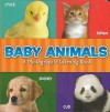 Baby Animals - The Clever Factory