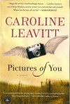 Pictures of You - Caroline Leavitt