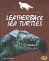 Leatherback Sea Turtles (Snap) - Jody Sullivan Rake