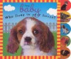 Baby Sparkle: Who Lives In Your House - Roger Priddy