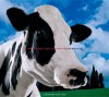 The Secret Life of Cows - Glen Wexler