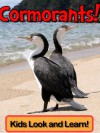 Cormorants! Learn About Cormorants and Enjoy Colorful Pictures - Look and Learn! (50+ Photos of Cormorants) - Becky Wolff