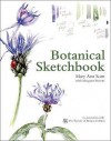 Botanical Sketchbook. by Mary Ann Scott with Margaret Stevens - Mary Ann Scott, Margaret Stevens