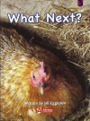 What Next? - Jill Eggleton