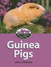 Guinea Pigs - Jinny Johnson