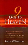 9 Days to Heaven: How to Make Everlasting Meaning of Your Life - Teresa O'Driscoll