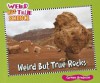 Weird But True Rocks - Carmen Bredeson