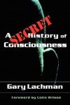 A Secret History of Consciousness - Gary Valentine Lachman