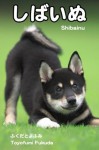 shibainu (slowphoto) (Japanese Edition) - Toyofumi Fukuda