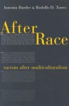 After Race: Racism After Multiculturalism - Antonia Darder, Rodolfo D. Torres