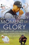 Moment of Glory: The Year Tiger Lost This Swing and Underdogs Ruled the Majors - John Feinstein