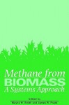 Methane from Biomass: A Systems Approach - W.H. Smith