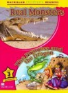 Real Monsters - The Princess And The Dragon (Macmillan Childrens Readers) - Paul Shipton