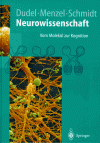 Neurowissenschaft: Vom Molek L Zur Kognition - Josef Dudel, Randolf Menzel, Robert F. Schmidt