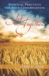 Joy Together: Spiritual Practices for Your Congregation - Lynne M. Baab