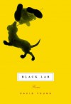 Black Lab - David Young