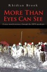 More Than Eyes Can See: A nine month journey through the AIDS pandemic. - Rhidian Brook