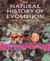 The Natural History of Evolution - Philip Whitfield