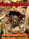 Australian Funnel Web Spiders! Learn About Australian Funnel Web Spiders and Enjoy Colorful Pictures - Look and Learn! (50+ Photos of Australian Funnel Web Spiders) - Becky Wolff