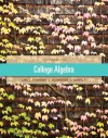 College Algebra (11th Edition) - Margaret L. Lial, John Hornsby, David I. Schneider