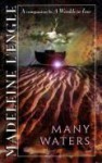 Many Waters (Time, Book 4) - Madeleine L'Engle