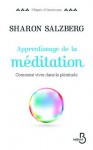 Apprentissage de la méditation (L'esprit d'ouverture) (French Edition) - Fabrice Midal, Sharon Salzberg, Patricia Lavigne