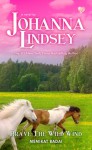 Memikat Badai - Brave the Wild Wind - Johanna Lindsey