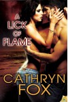 A Lick of Flame (Boys of Beachville) - Cathryn Fox