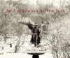 An Englishman in New York - Jason Bell, Zoë Heller