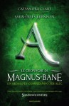 Le cronache di Magnus Bane - 8. Un regalo di Alec - Sarah Rees Brennan, Cassandra Clare