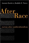 After Race: Racism After Multiculturalism - Antonia Darder, Rodolfo D. Torres