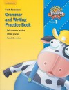 READING 2007 GRAMMAR AND WRITING PRACTICE BOOK GRADE 1 (Reading Street) - Scott Foresman