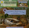 Mallard Duck Meadow View Pond (Smithsonians Backyard) (Smithsonians Backyard) - Wendy Pfeffer