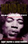 Jimi Hendrix Electric Gypsy - Harry Shapiro