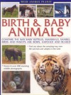 Wild Animal Planet: Birth and Baby Animals: Compare the way reptiles, mammals, sharks, birds and insects are born, find out about the amazing way new life survives and adapts in the wild - Michael Chinery