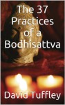 The 37 Practices of a Bodhisattva - David Tuffley