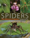 Spiders: The Ultimate Predators - Stephen Dalton