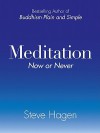 Meditation Now or Never - Steve Hagen