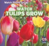 Watch Tulips Grow - Kristen Rajczak