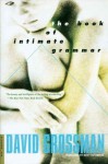 The Book of Intimate Grammar: A Novel - David Grossman, Betsy Rosenberg