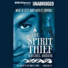 The Spirit Thief - Rachel Aaron, Luke Daniels