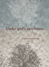 Under God's Pale Bones - David A. Groulx