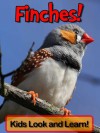 Finches! Learn About Finches and Enjoy Colorful Pictures - Look and Learn! (50+ Photos of Finches) - Becky Wolff