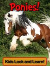 Ponies! Learn About Ponies and Enjoy Colorful Pictures - Look and Learn! (50+ Photos of Ponies) - Becky Wolff